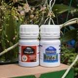 Tăng Cường Sức Đề Kháng Với Dinh Dưỡng Phụ - Nhóm 1 Combo 8 Premium (100ml)