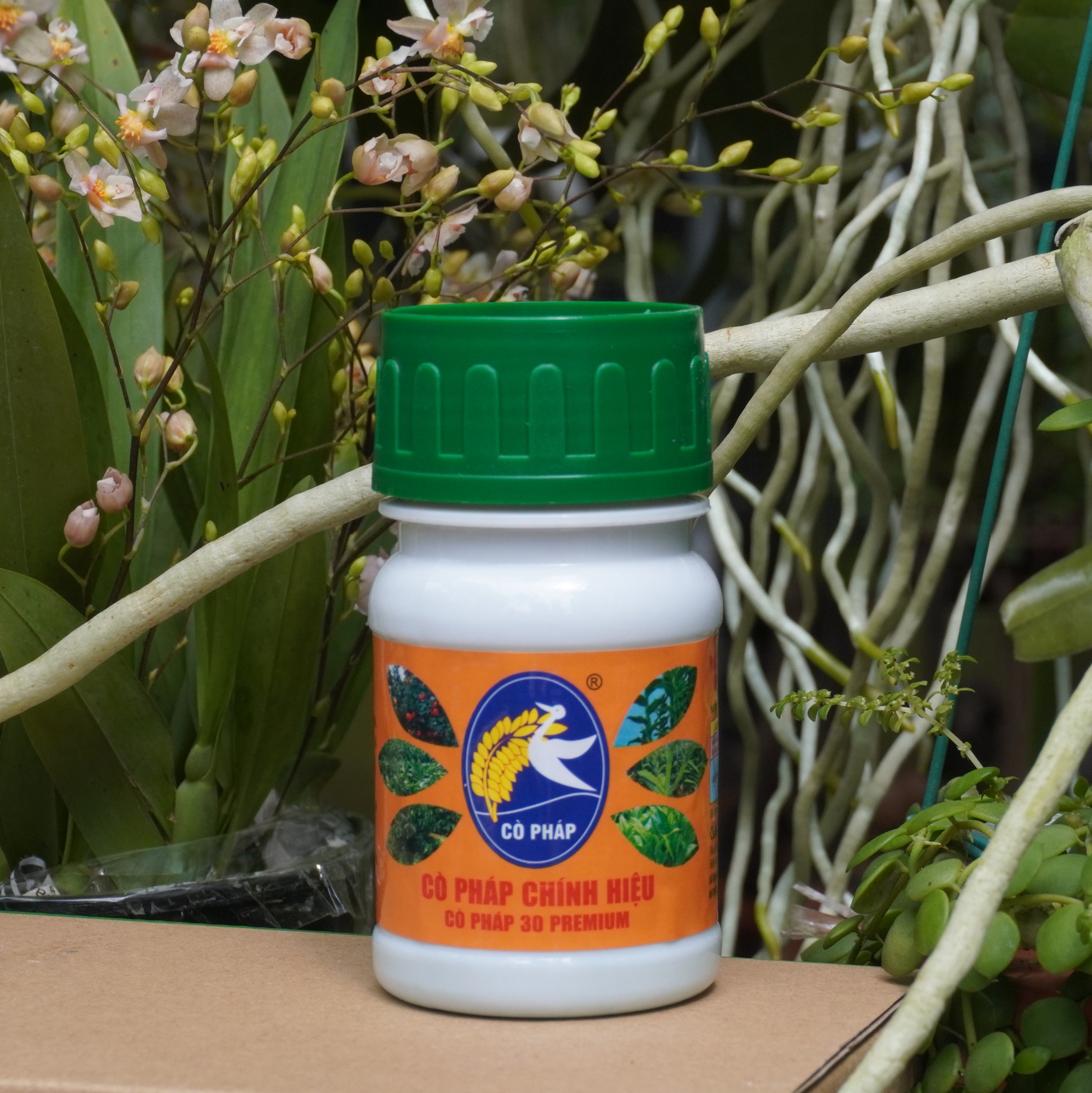 Kích Cây Ra Rễ, Nảy Mầm, To Thân, Dày Lá - Cò Pháp 30 Premium