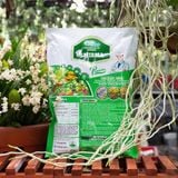 Phân Tan Chậm Saitama (Dạng Viên)