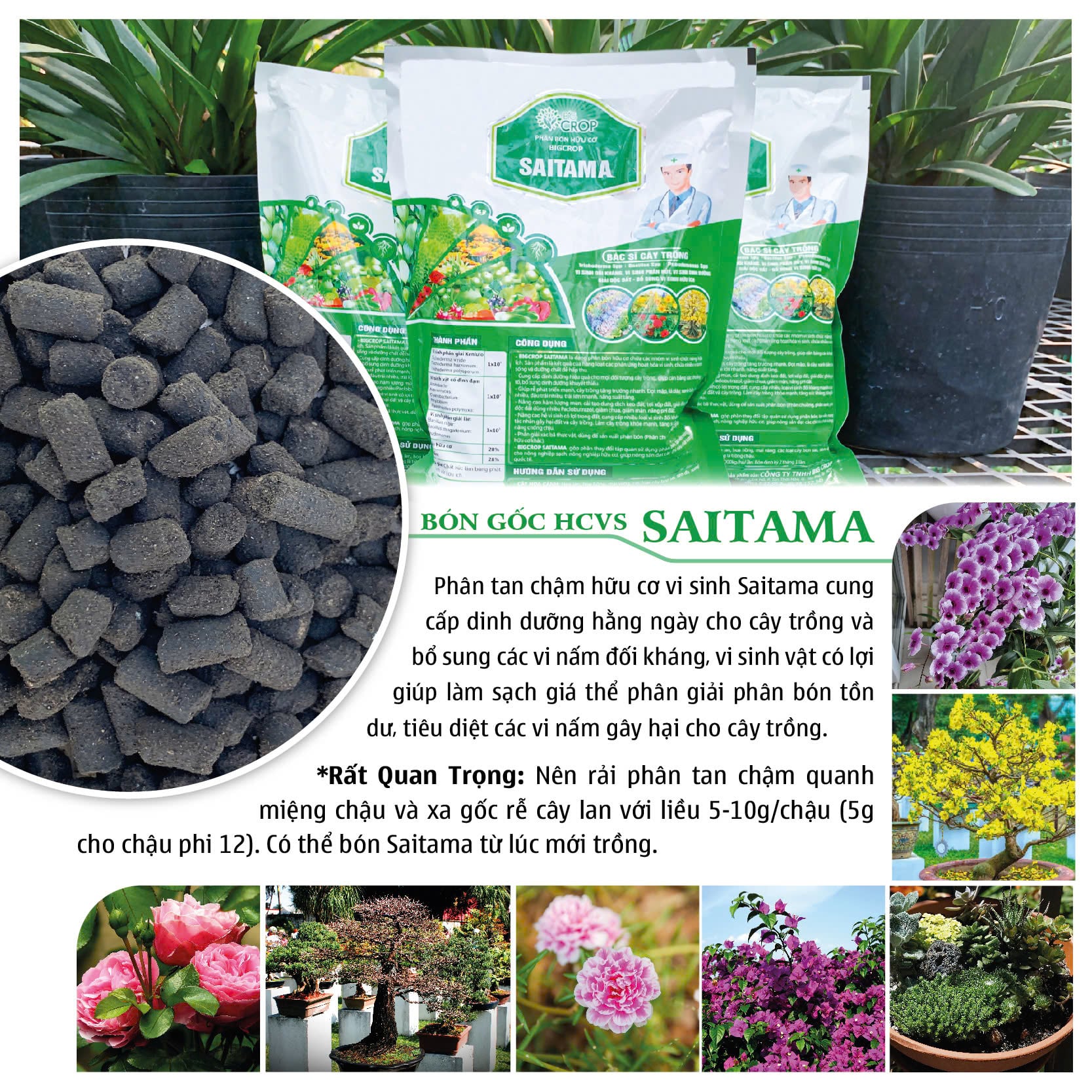 Phân Tan Chậm Saitama (Dạng Viên)