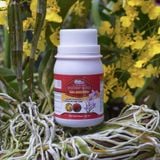 Kích Cây Ra Hoa, Đậm Hương, Bền Sắc - Gel 600 Pro