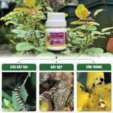 Phòng và Diệt Trừ Sâu Rầy - Protect Green