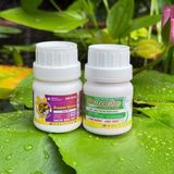 Combo Phòng Và Trị Bệnh Nấm Và Sâu Rầy Cho Cây