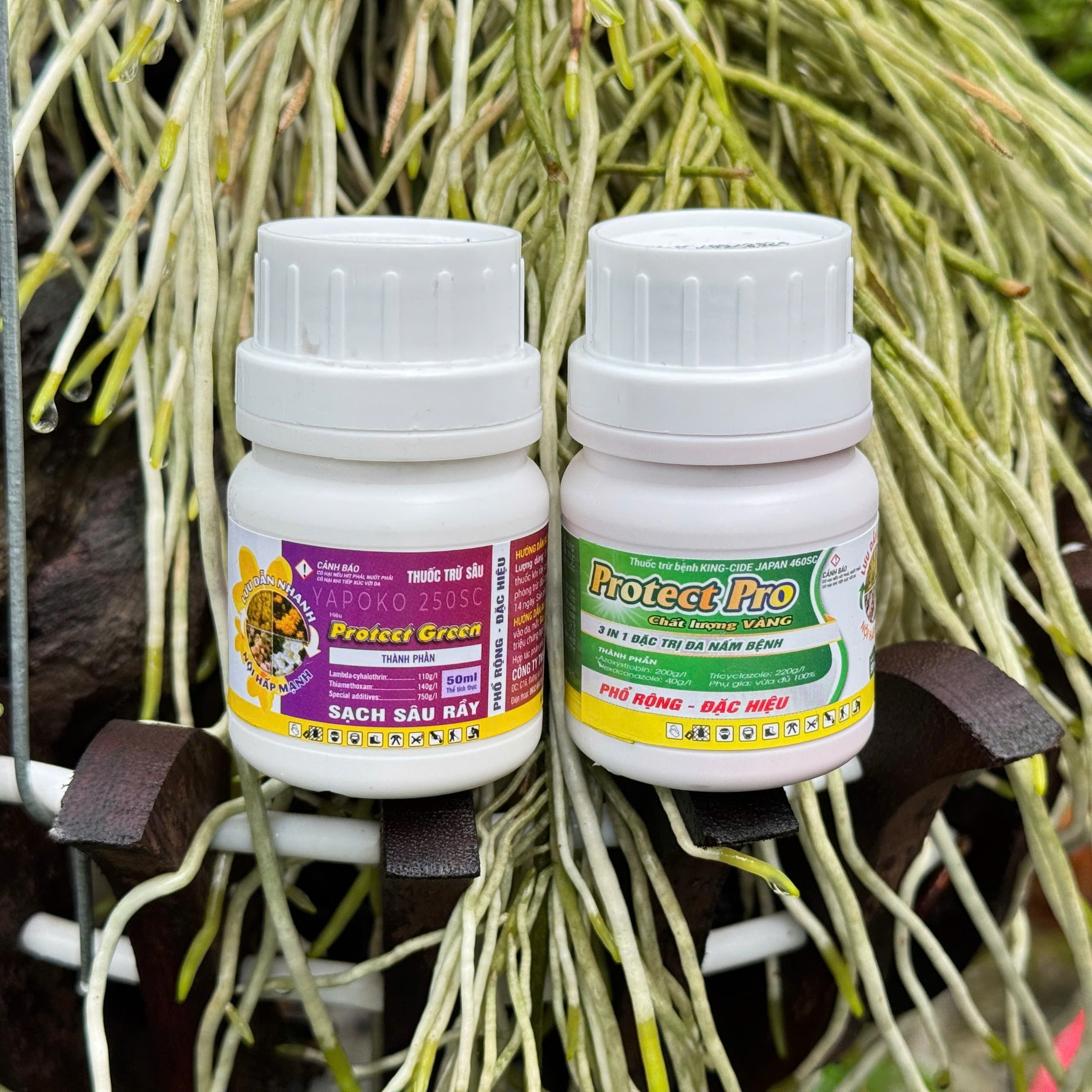 Combo Phòng Và Trị Bệnh Nấm Và Sâu Rầy Cho Cây