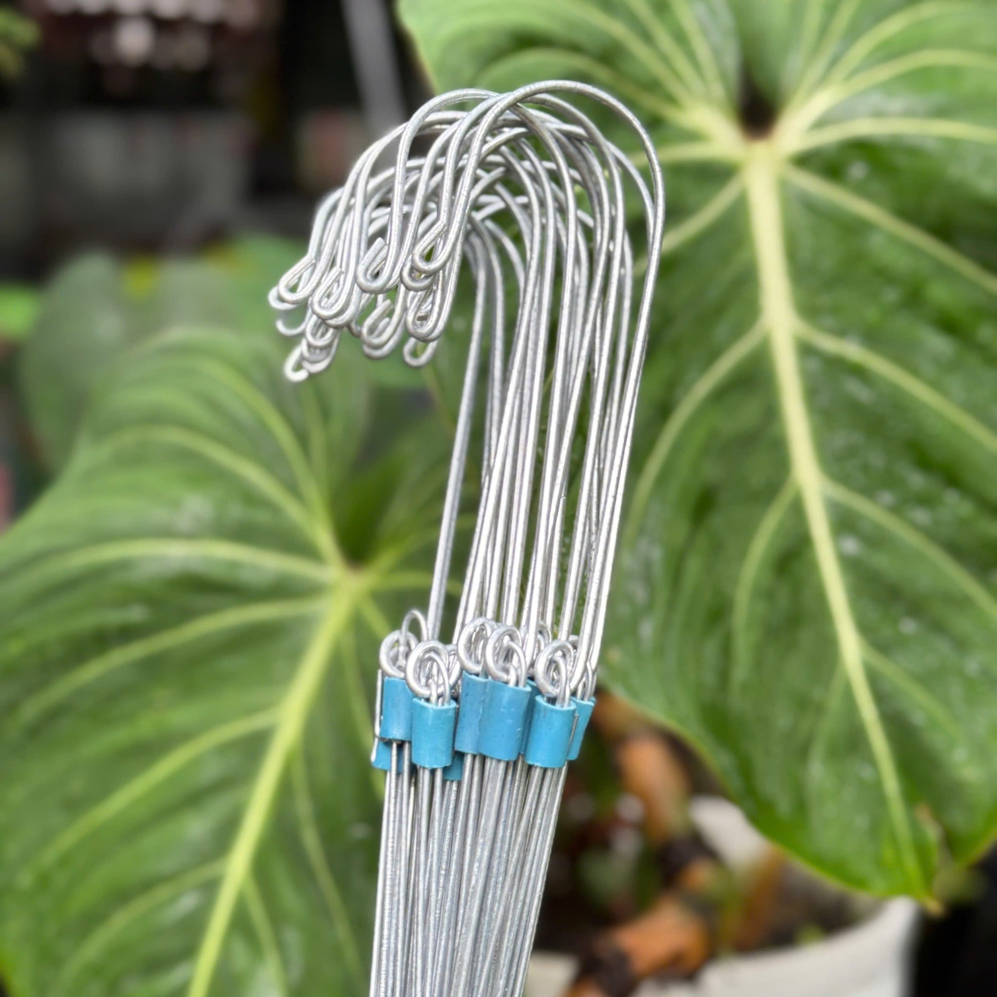 Móc Kẽm Treo Chậu Lan và Cây Cảnh (dài 70cm-1m)