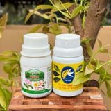 Bộ Đôi Vô Cực - Phục Hồi Mai Vàng Sau Xả Tàn, Suy Kiệt & Hỗ Trợ Mai Ra Rễ, Bật Mầm