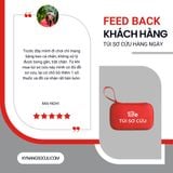  Hộp sơ cứu y tế cá nhân, xe máy, du lịch 