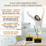 [Kèm Hoa và Thiệp] Set Quà Tặng V: Tinh Dầu Thơm Phòng Ngủ 100ml Thư Giãn , Tinh Dầu Treo Thiên Nhiên Khử Mùi 10ml