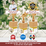 [Kèm Hoa và Thiệp] Set Quà Tặng V: Tinh Dầu Thơm Phòng Ngủ 100ml Thư Giãn , Tinh Dầu Treo Thiên Nhiên Khử Mùi 10ml