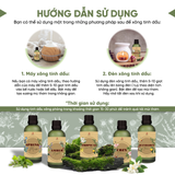 Cozy Bloom -  Tinh Dầu Xông Máy, Tinh Dầu Thơm Phòng Thiên Nhiên 100ml Cao Cấp, Sang Trọng
