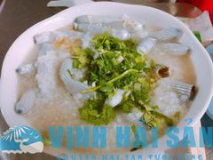 SÁ SÙNG TƯƠI - KHÔ