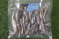 HẢI SÂM TƯƠI - KHÔ
