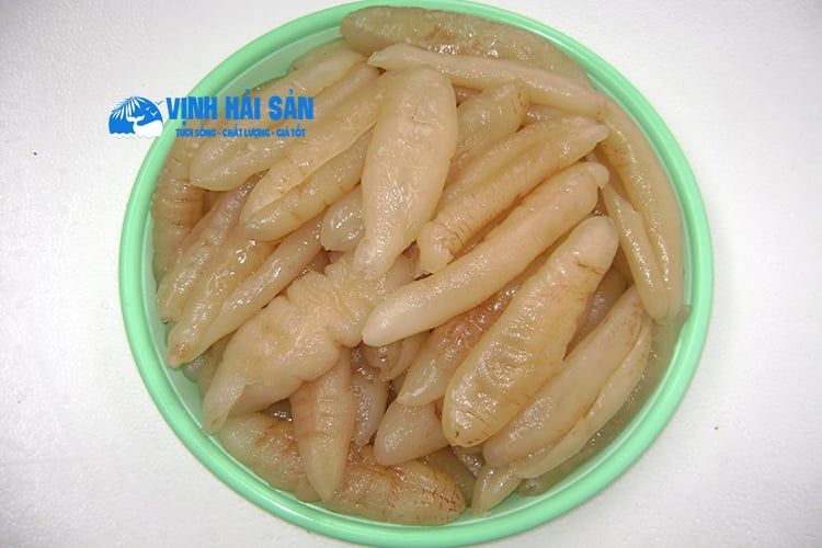 HẢI SÂM TƯƠI - KHÔ