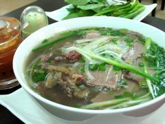 SÁ SÙNG TƯƠI - KHÔ