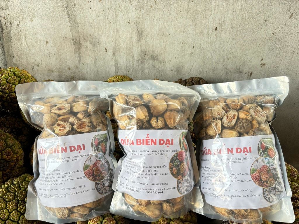 DỨA BIỂN (DỨA DẠI)