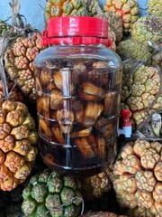 DỨA BIỂN (DỨA DẠI)