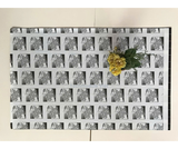 


																	 Tấm keo dính dùng cho đèn diệt côn trùng DS - D152G 