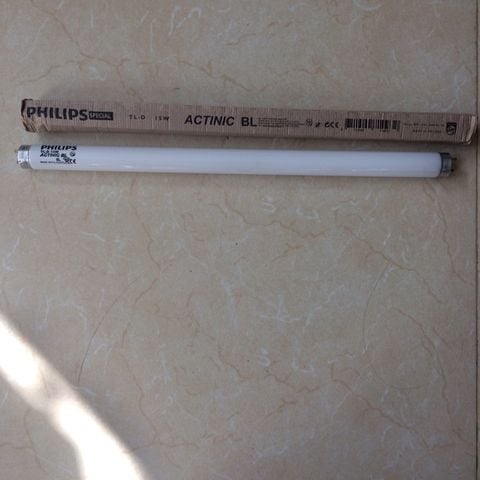 Bóng đèn thay thế đèn diệt côn trùng Đại Sinh DS-D152G dài 45cm