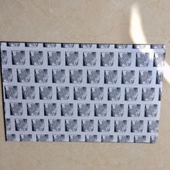  Tấm keo dính dùng cho đèn diệt côn trùng DS - D152G 