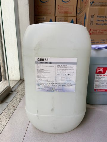 Xà bông 2 trong 1 hãng Caress mã TM-CARESS