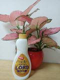 


																	 Nước giặt Lord Gold hương nước hoa 