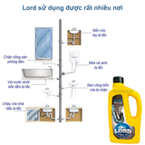 


																	 Thông - tẩy đa năng Lord 1kg*12 