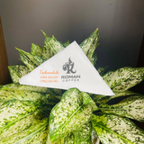 


																	 Khăn giấy ăn in logo ROMAN COFFEE 