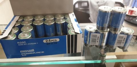 Pin Đại R20