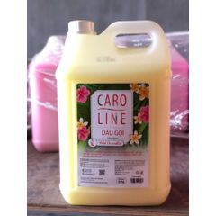  Dầu gội CAROLINE 