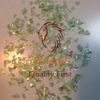 APET TRAY FLAKES TRANSPARENT