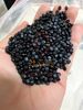 Masterbatch 2200BK High Concentrated Nano black