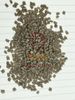 PA66 Recycled Pellets Transparent Brown