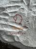 PET  Pulverized powder White