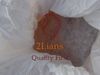 APET flakes Clear