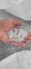 APET Tray flakes clear