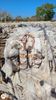 PP Non-woven on bales Natural