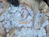 PVC Pond moisture resin  Paste grade