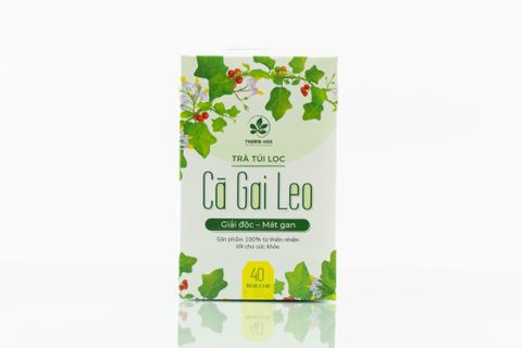 TRÀ TÚI LỌC CÀ GAI LEO 40 TÚI LỌC