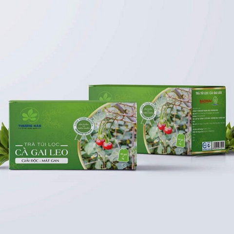 Trà túi lọc cà gai leo