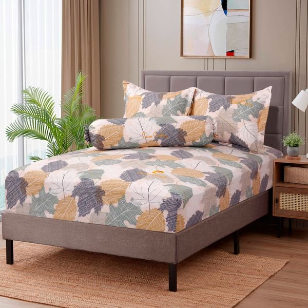 Bộ Drap Cotton Pierre Cardin (4 Món) - PCABDCF 020