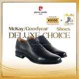 [BROGUE] Giày Tây Cao Cấp Pierre Cardin - PCMFWLG 353