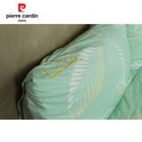 Bộ Drap Gối Xanh Ngọc Tencel Silky Pierre Cardin - PCABDTF 003