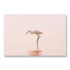 Tranh Canvas Hồng Hạc Pink Pastel (30x45cm - 40x60cm - 50x75cm - 60x90cm)