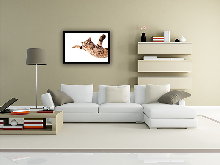 Tranh treo tường VICDECOR Mèo Nhảy