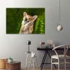 Tranh Canvas Corgi Alila (60x90cm)