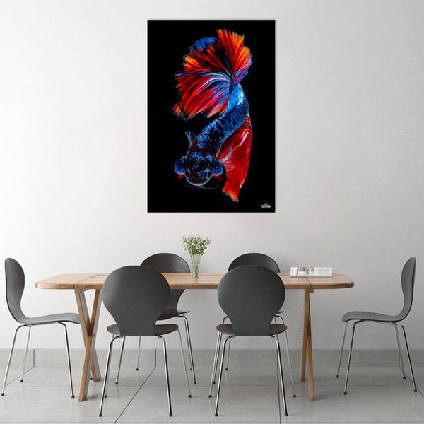 Tranh Canvas Cá Đuôi Đỏ Alila (60x90cm)