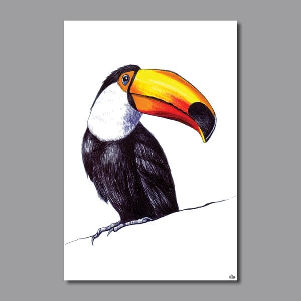 Tranh Canvas Chim Toucan 2 Alila (60x90cm)