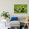 Tranh Canvas Chim Toucan Alila (60x90cm)