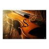Tranh Canvas Đàn Violin 2 Alila (60x90cm)