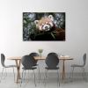 Tranh Canvas Gấu Mèo 2 Alila (60x90cm)